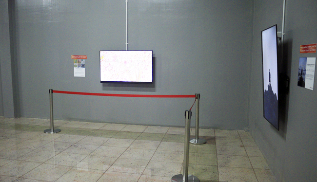 Slide Image